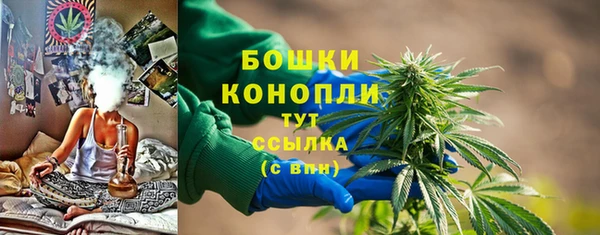 винт Ельня