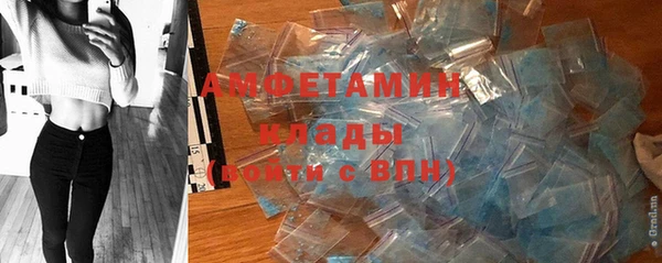 винт Ельня