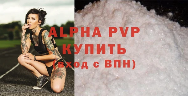 винт Ельня